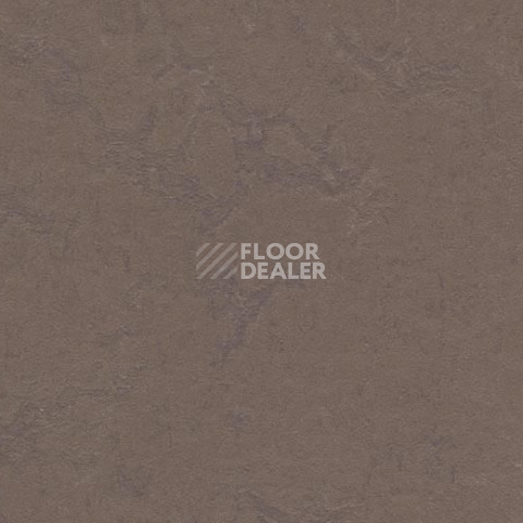 Кварцвиниловые полы Forbo Marmoleum Modular t3568 delta lace фото 1 | FLOORDEALER